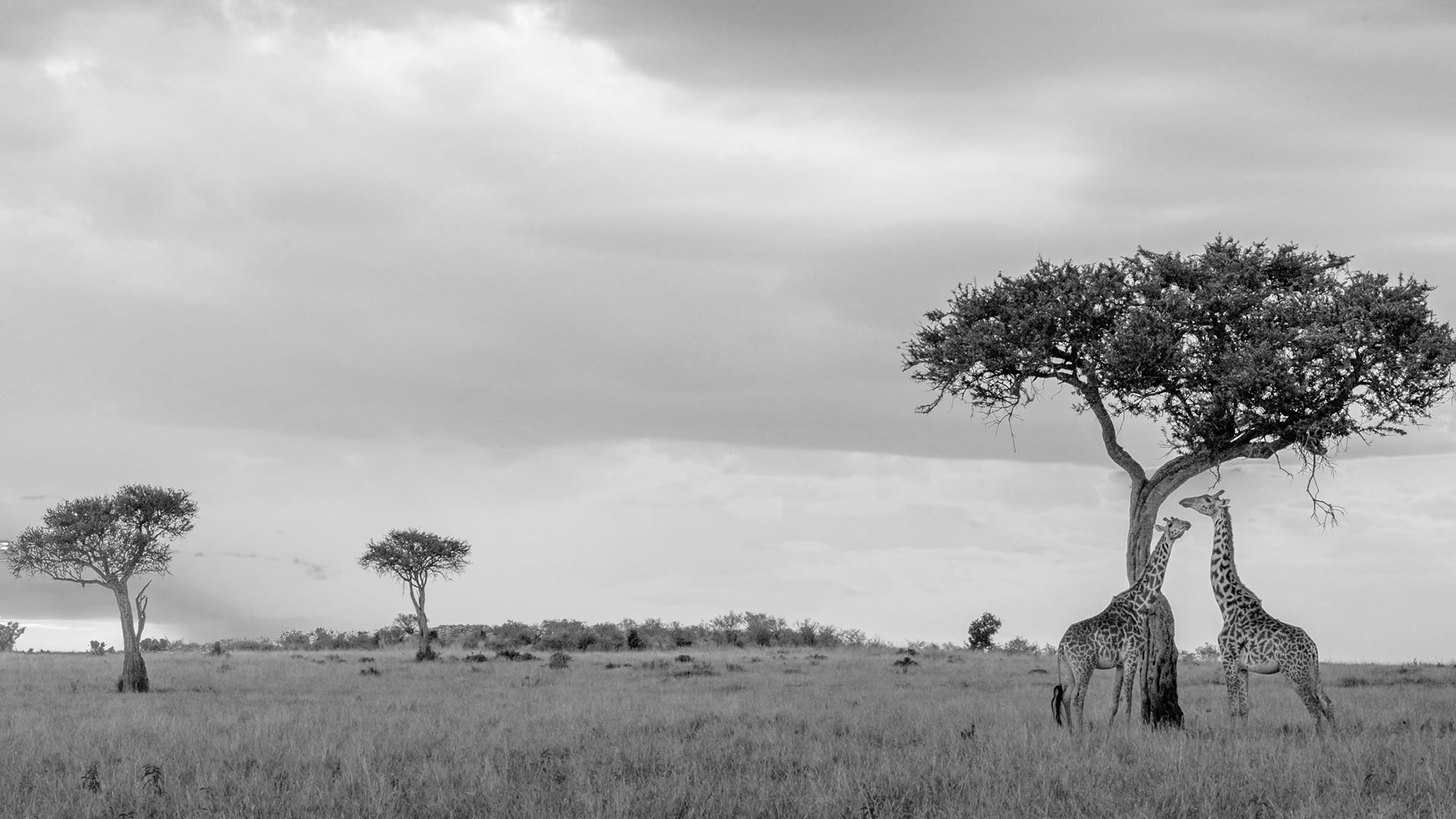 Travel Tips Travel Tips